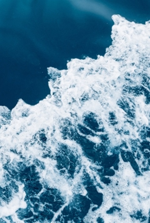 shutterstock_755022088