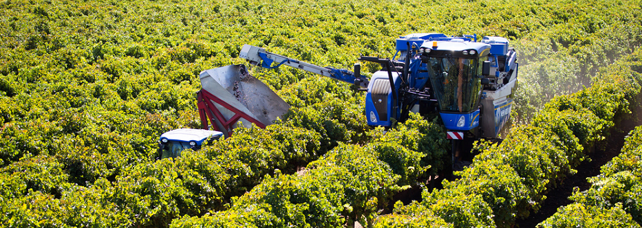 NH GRAPE HARVESTER