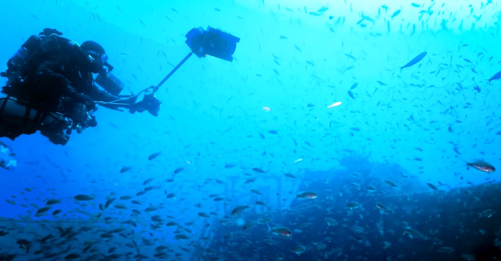 relic_hunter_discover