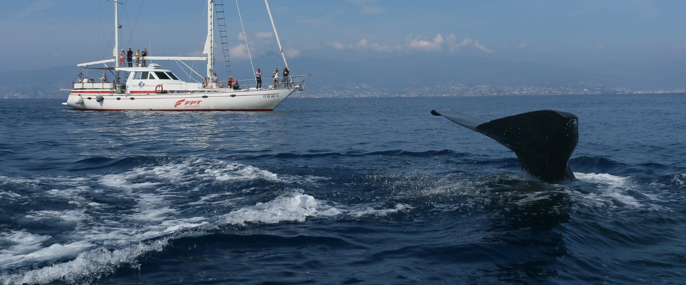 FPT_Industrial_story_canvas_Tethys 2025 (1)