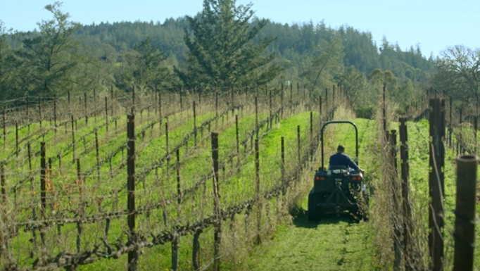 video card stories 2