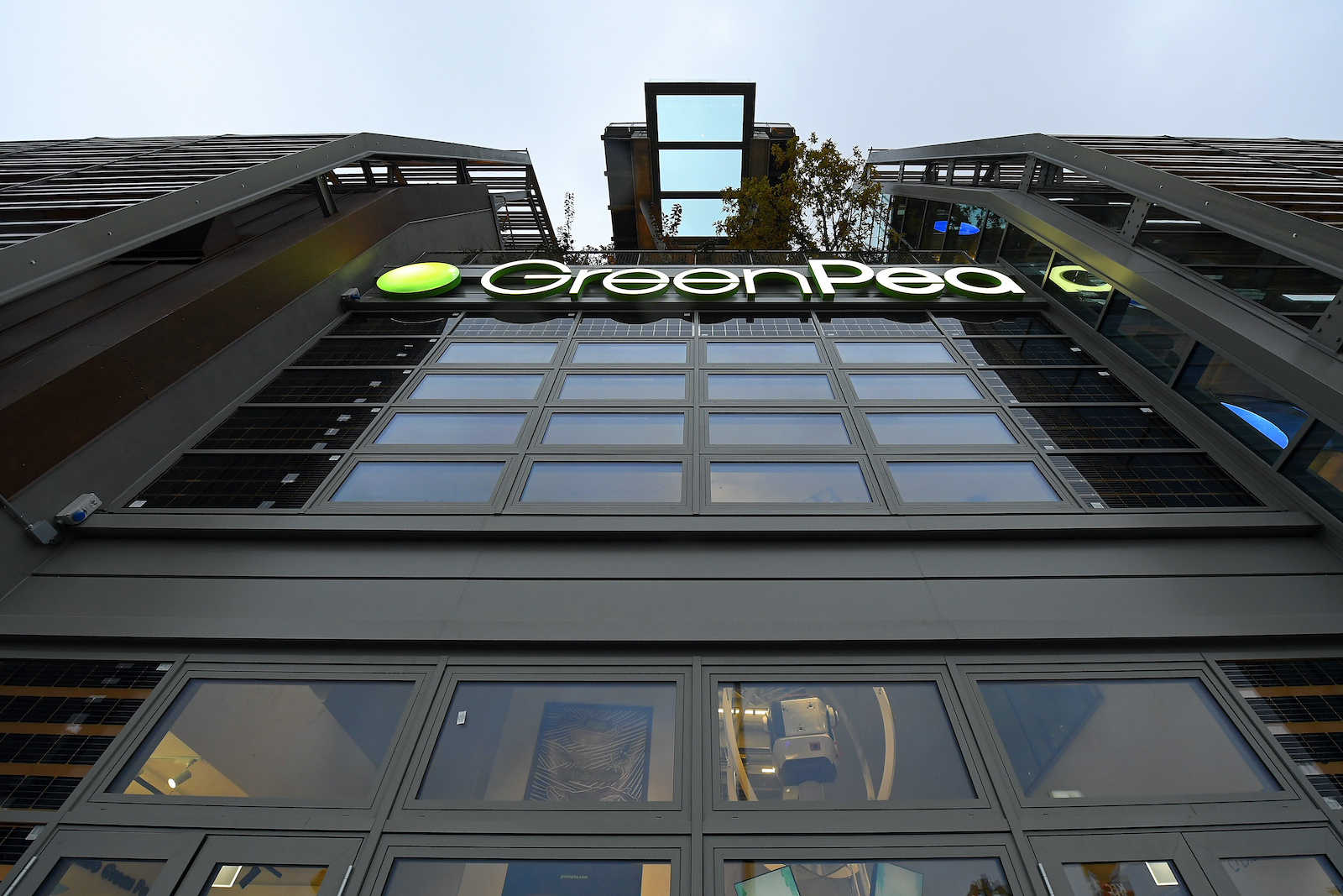 GreenPea_story_canvas_3