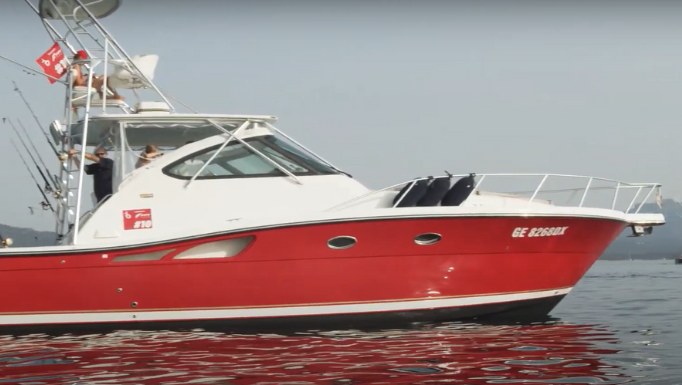 Video card stories_2